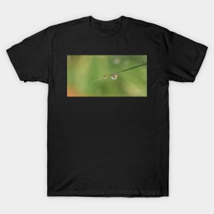 Dew on Grass T-Shirt